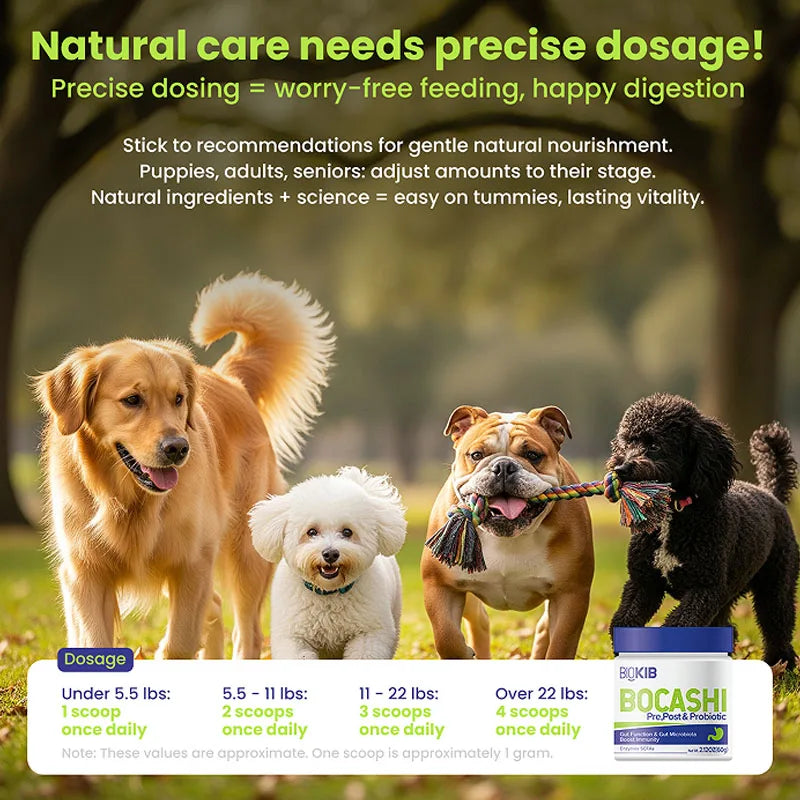 Premium Dog Probiotics - Supports Digestive Health, Relieves Diarrhea & Bloating, Easy-to-Administer Chews for All Breeds & Ages