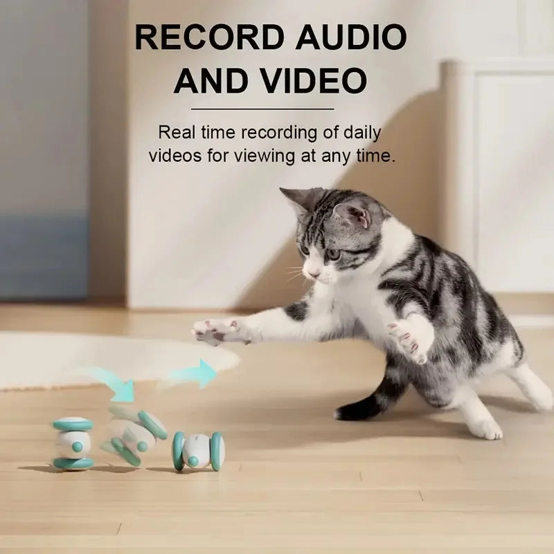 Indoor Wireless Security Camera (Mini) – Night Vision, Motion Detection, 2.4GHz WiFi, Pet/Vehicle Monitoring, Easy USB Setup