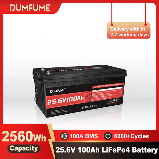 Dumfume 25.6V 100Ah Lifepo4 Lithium Battery 2560w With 100A BMS 12V 600Ah/12V 314Ah/12V 100Ah/36V 100Ah Battery For Solar RV